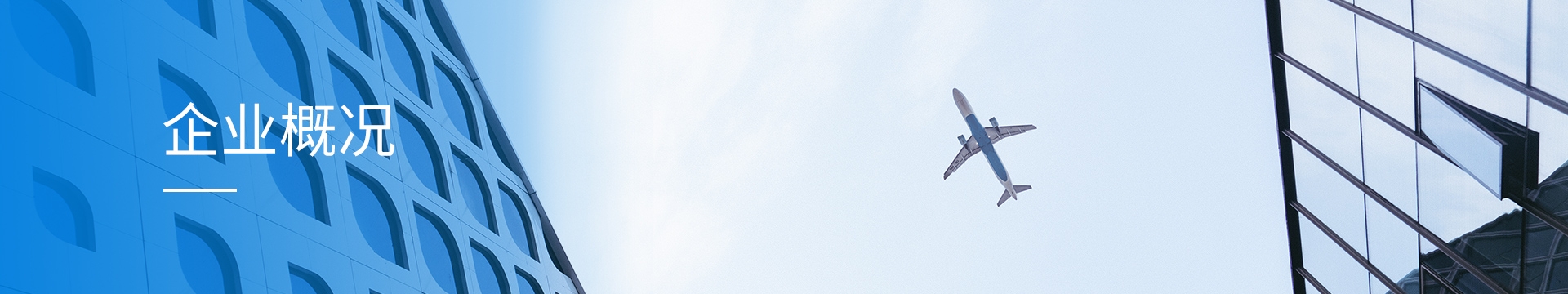 企业概况